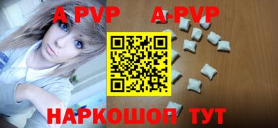 стафф Дубна