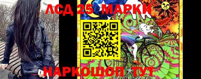 стафф Дубна