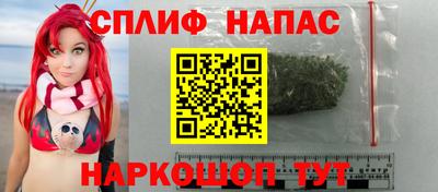 стафф Дубна