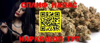 стафф Дубна